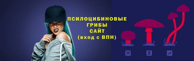 скорость Медногорск