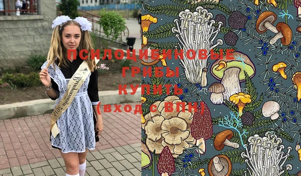 а пвп мука Мегион