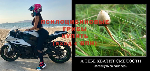 а пвп мука Мегион