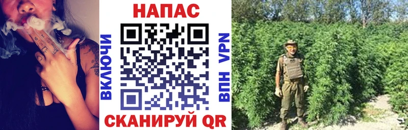 Конопля гибрид  Ува 